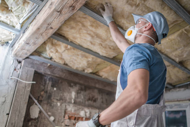 Best Home Insulation Services  in Artondale, WA