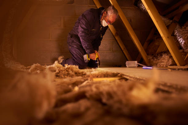 Best Insulation Contractors for Homes  in Artondale, WA